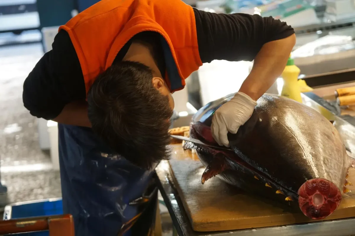 pekerja jepang sedang memotong ikan
